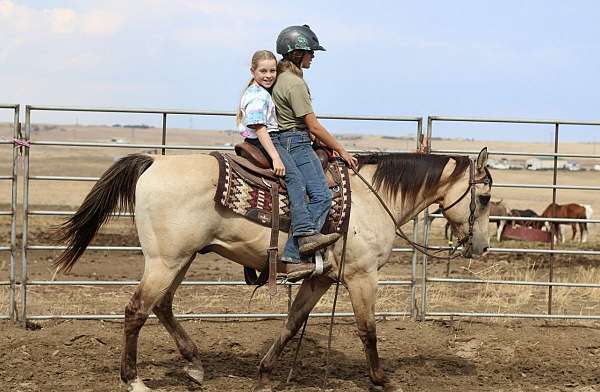 gentle-quarter-horse