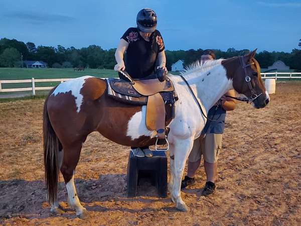 sorrel-white-paint-horse