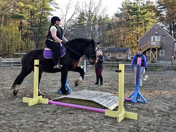 perch-draft-horse