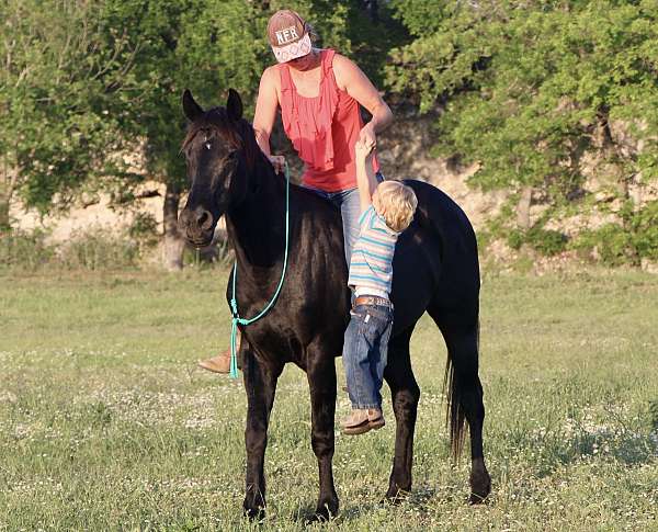 barrel-race-quarter-horse