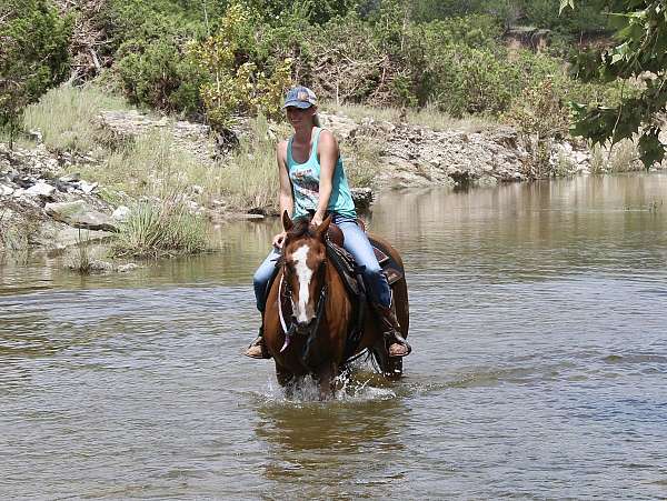 barrel-racing-quarter-horse