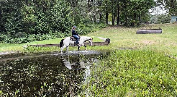 hidalgo-paint-horse