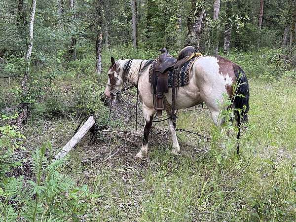 hidalgo-horse