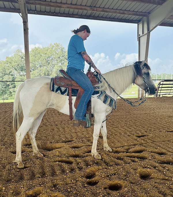 buckskin-see-pics-horse