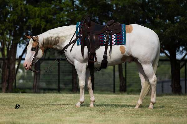 kid-safe-paint-horse