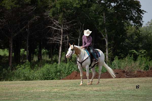 trail-paint-horse