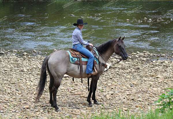 ranch-versatility-quarter-horse