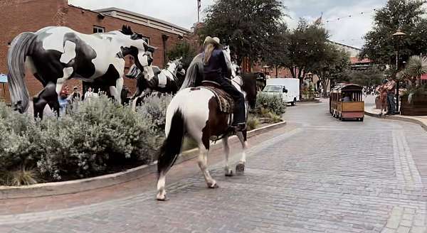 kid-safe-draft-horse