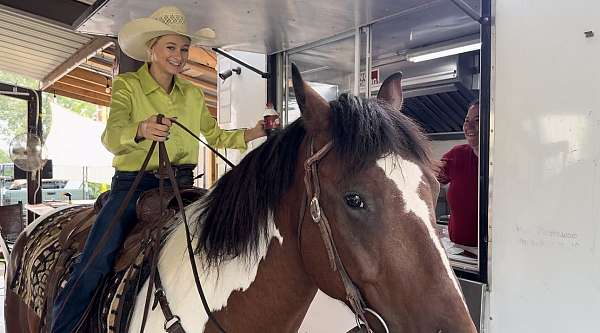 parade-draft-horse