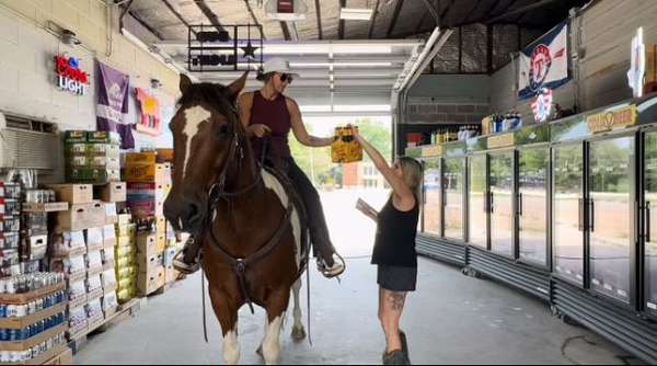 ranch-work-draft-horse