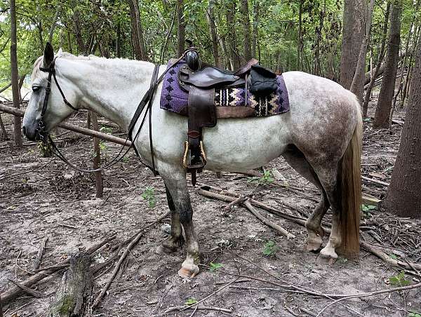 bridges-draft-horse