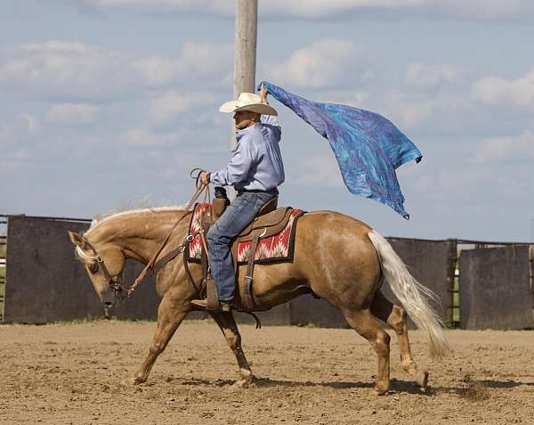 ranch-versatility-quarter-horse