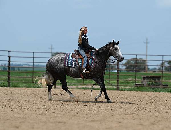 ranch-work-quarter-horse