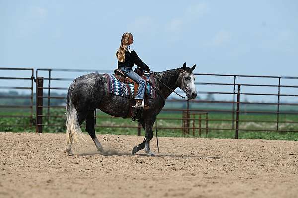 ranch-versatility-quarter-horse