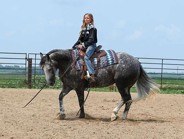 roping-quarter-horse