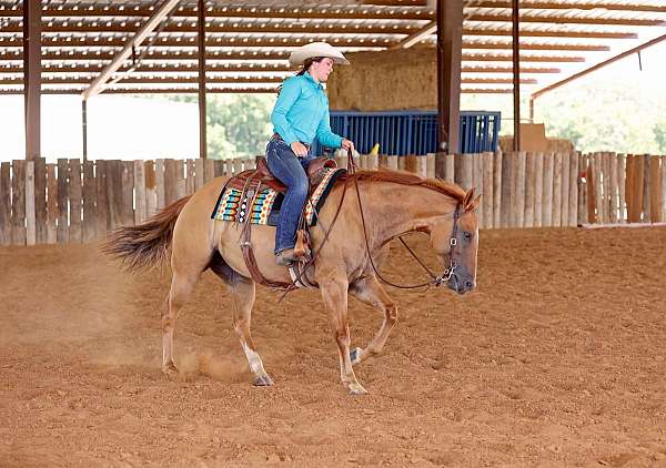 all-around-quarter-horse