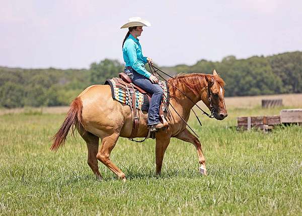 flashy-quarter-horse