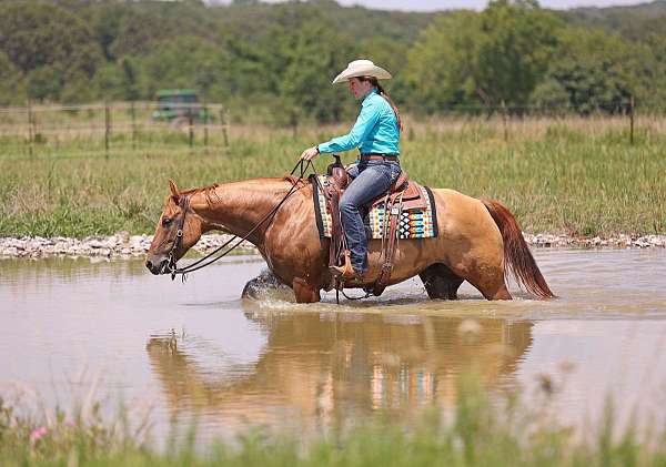 kid-safe-quarter-horse