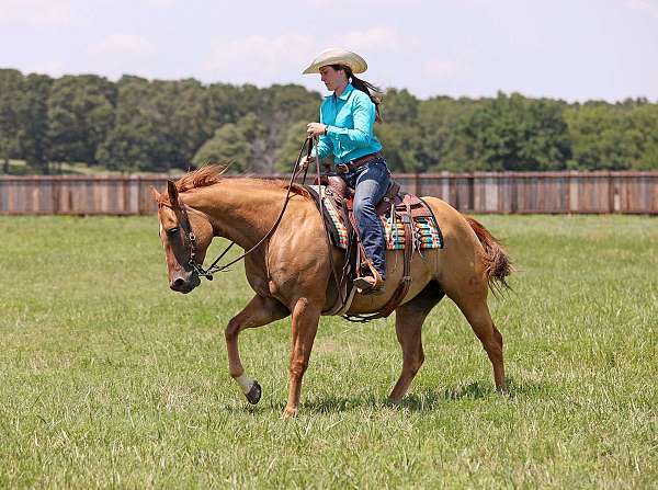 ranch-quarter-horse