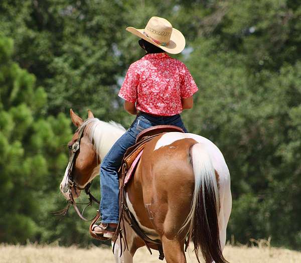 trail-quarter-horse