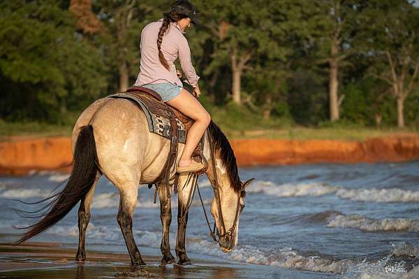 trail-riding-quarter-pony