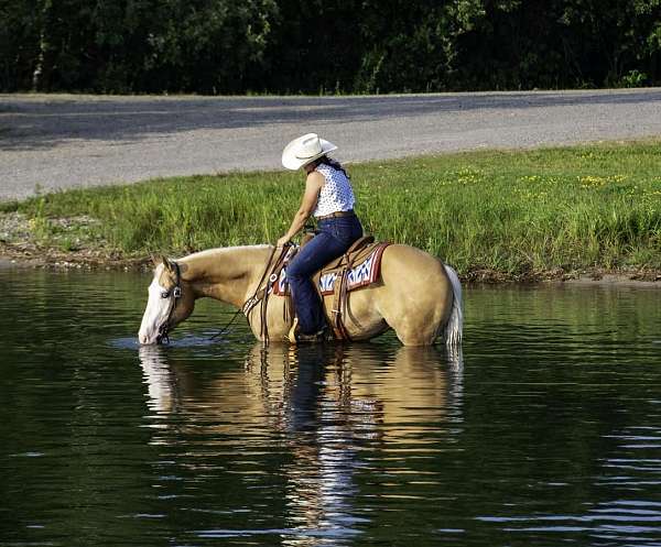 flashy-quarter-horse