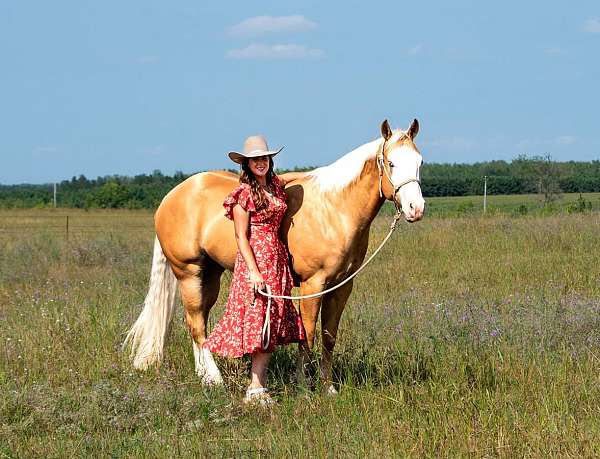 husband-safe-quarter-horse