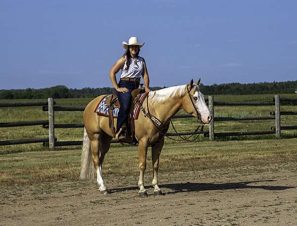 ranch-versatility-quarter-horse