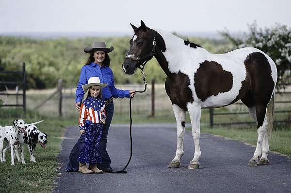 companion-paint-horse