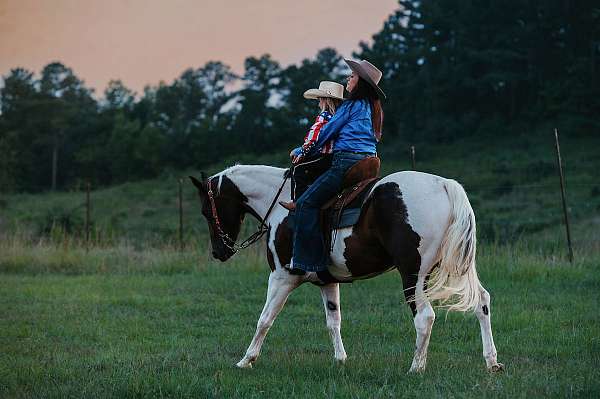 flashy-paint-horse