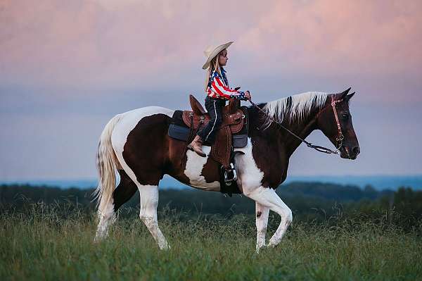 kid-safe-paint-horse