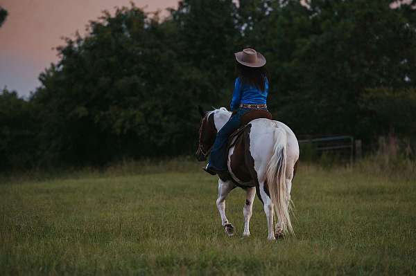 playday-paint-horse