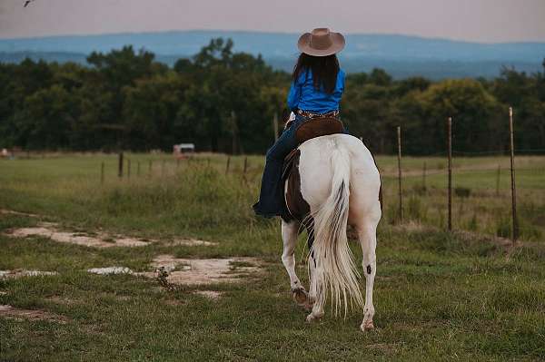 ranch-work-paint-horse