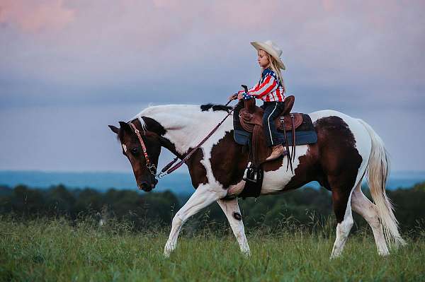 trail-paint-horse