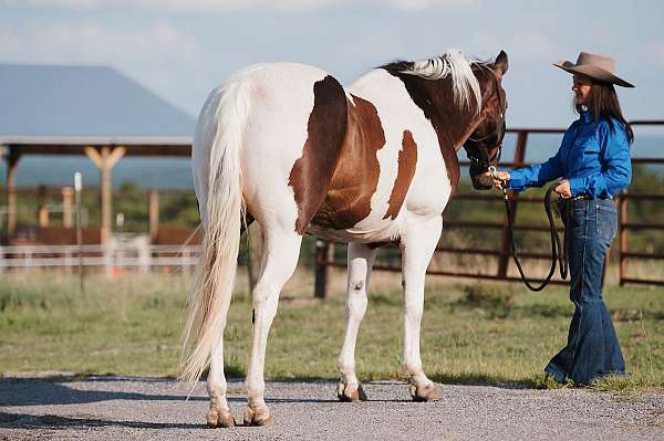 trail-riding-paint-horse