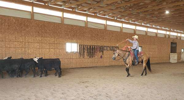 roping-quarter-horse