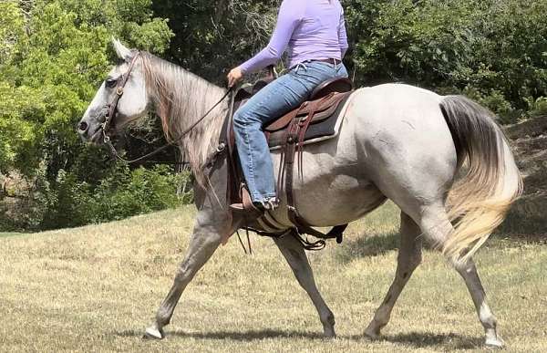 family-horse-quarter