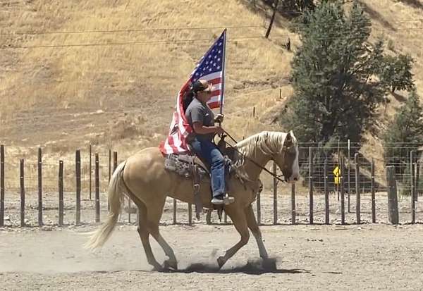 ranch-quarter-horse