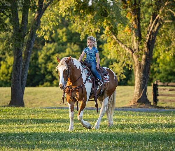 family-horse-quarter