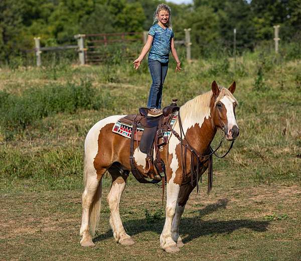 all-around-quarter-horse