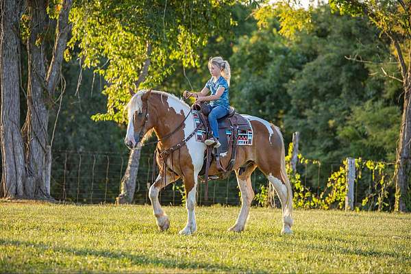 paint-quarter-horse