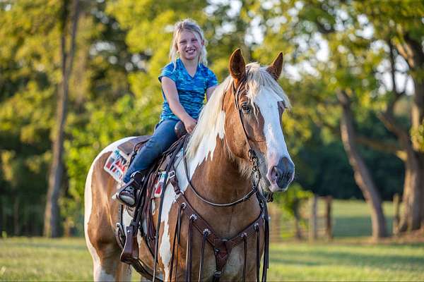 trail-quarter-horse