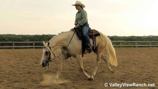 ranch-work-quarter-horse