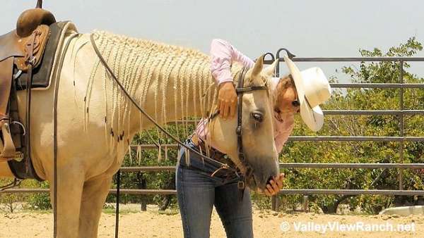 trail-riding-quarter-horse