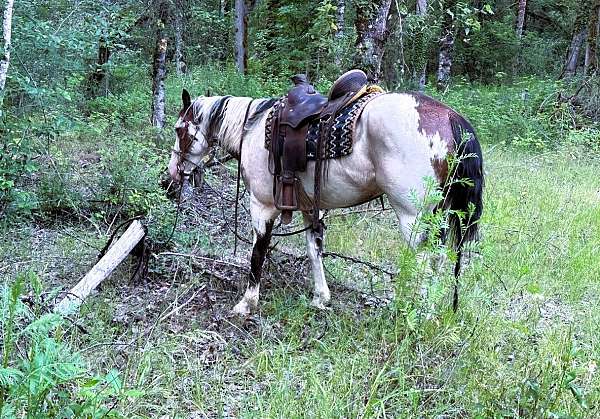 family-paint-horse