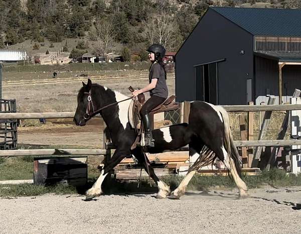 tobiano-pony