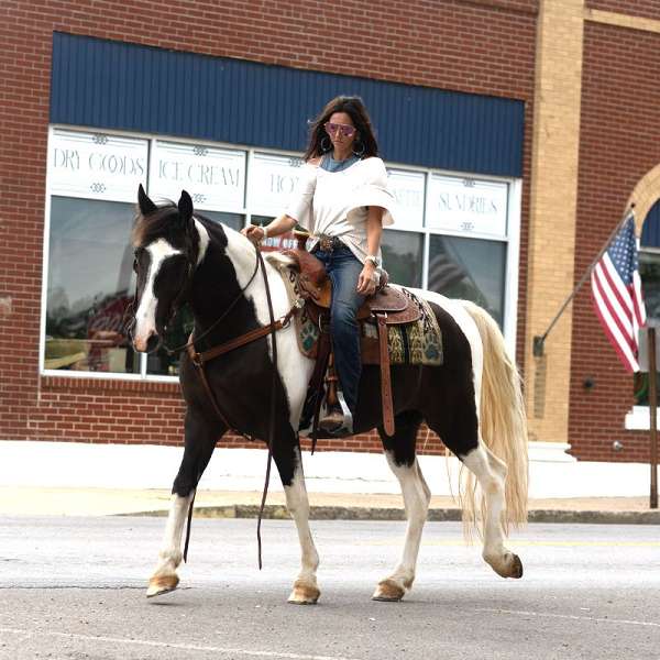 happy-missouri-fox-trotter-horse