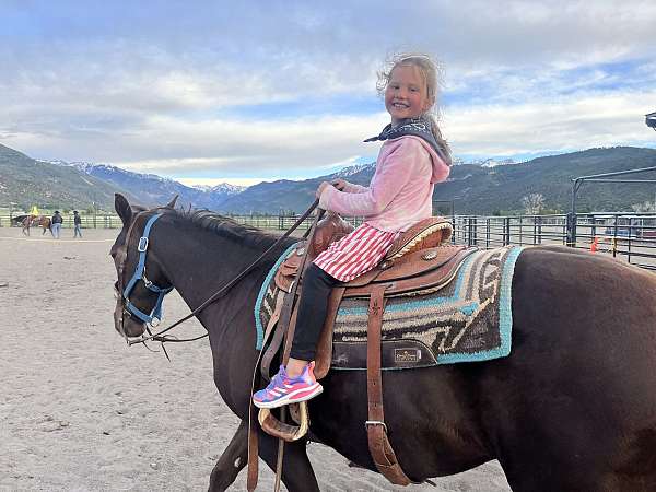 chestnut-liver-chestnut-pre-mare