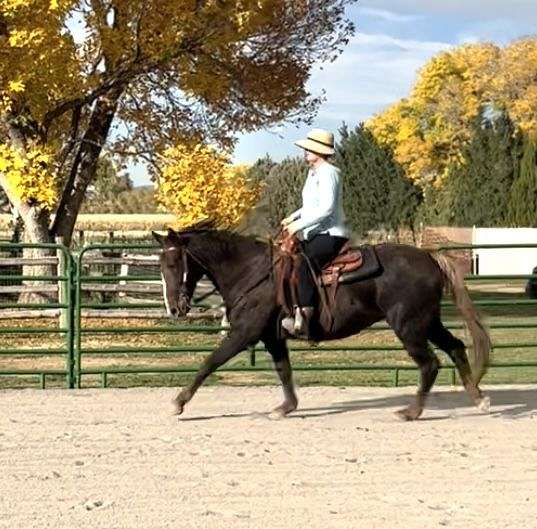 chestnut-liver-chestnut-pre-pony