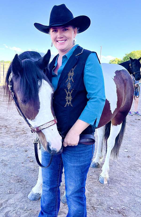 driving-gypsy-vanner-horse